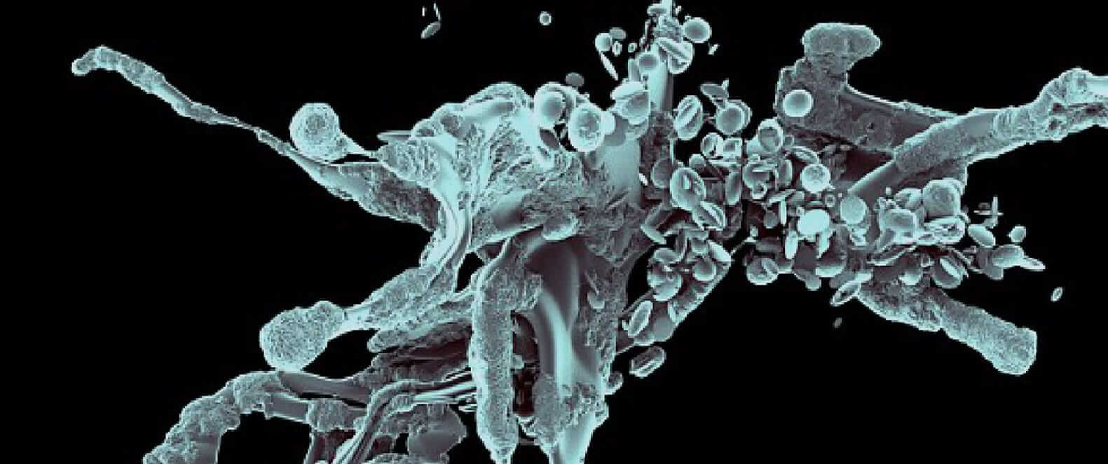 http://www.ccmi.org/site-assets/images/1494362805_ccmi_mitosis.jpg